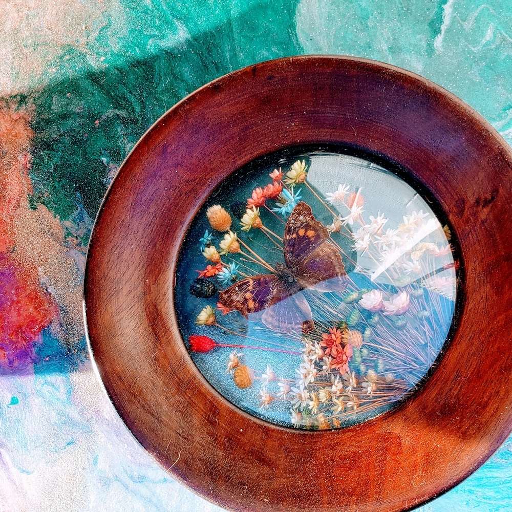 Vintage Butterly Wall Decor Brazilia Colle…